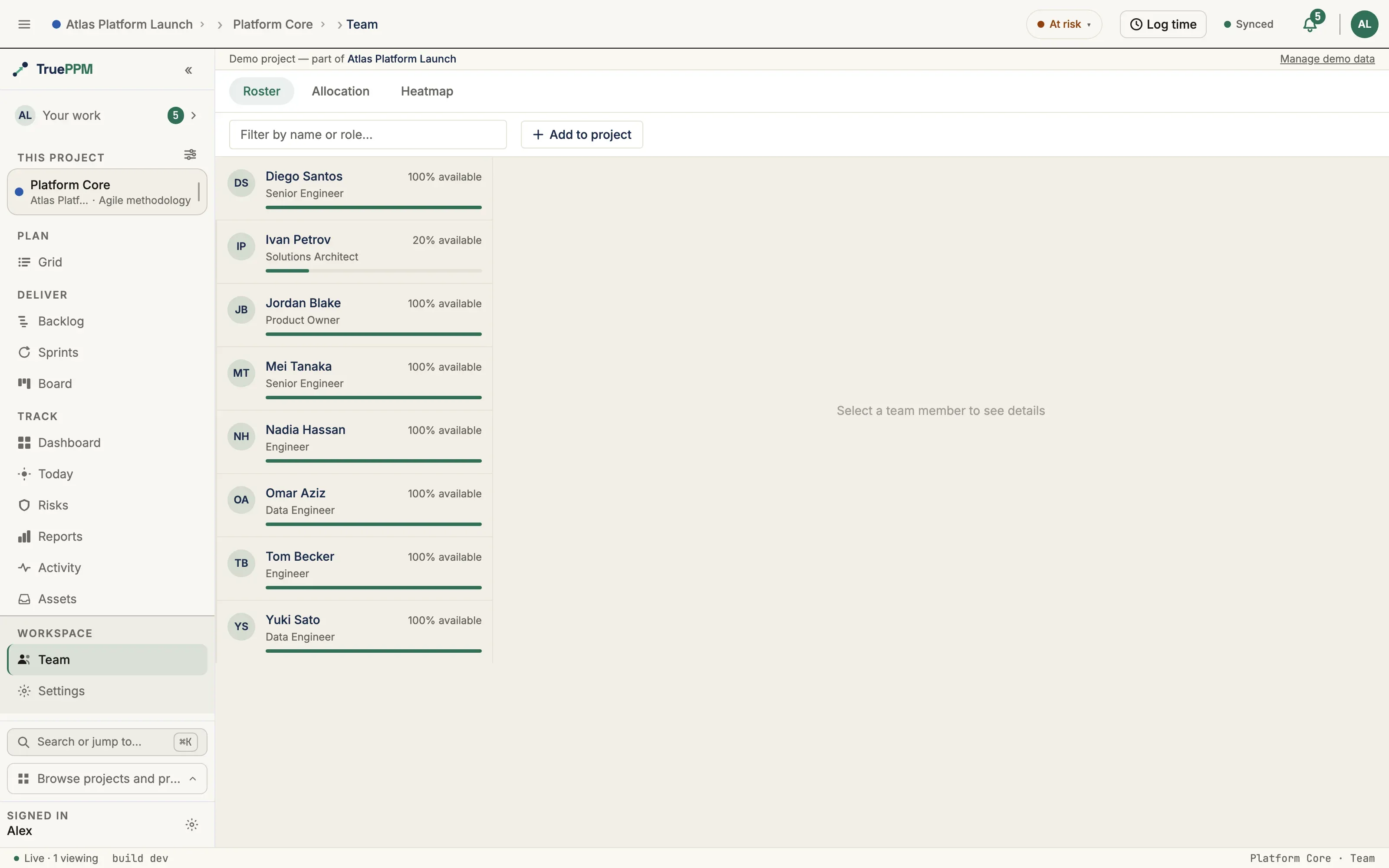 The Team roster tab listing each person with role and availability