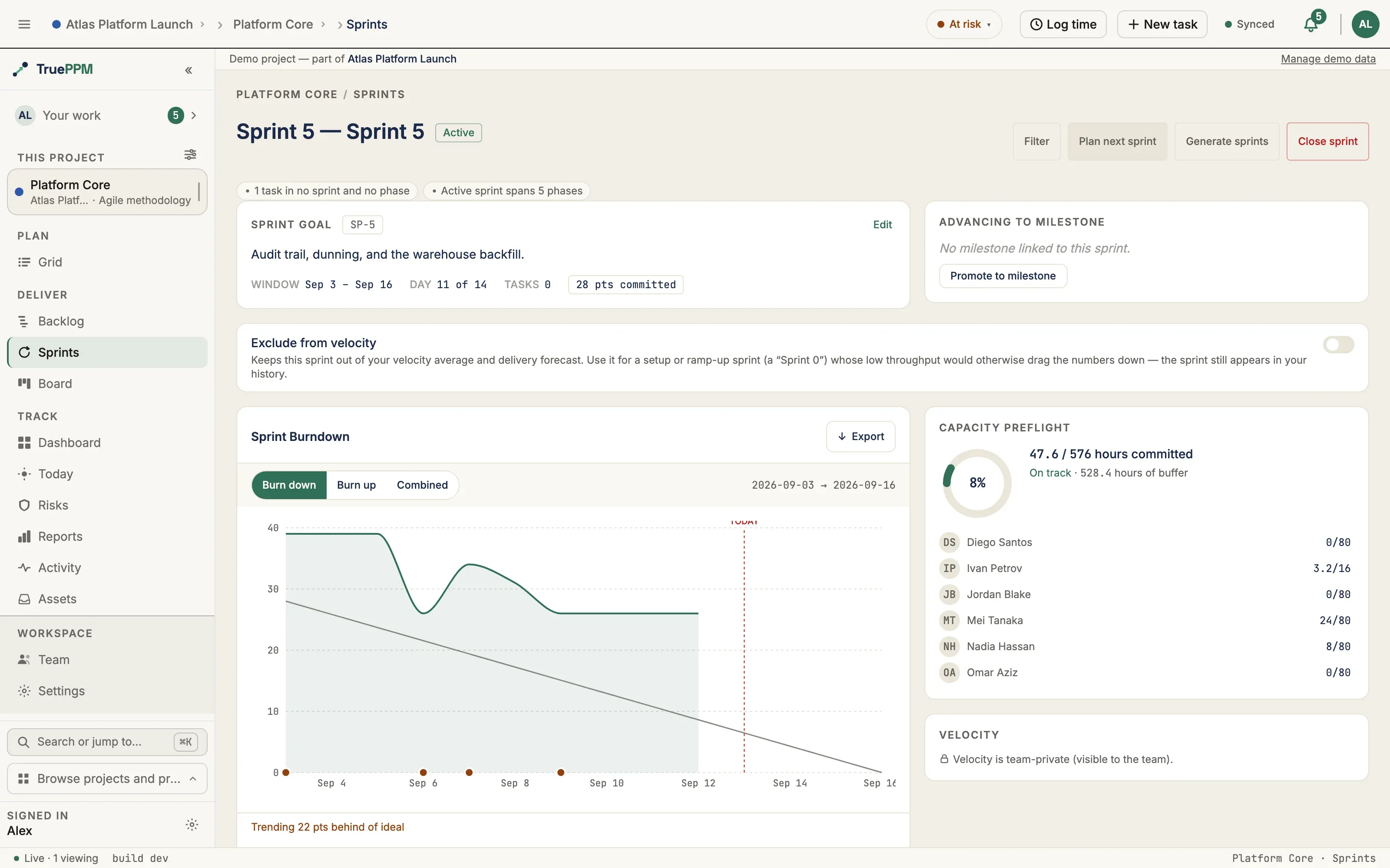 The Sprints page for Sprint 5: sprint goal, burndown chart, capacity preflight per person, and velocity